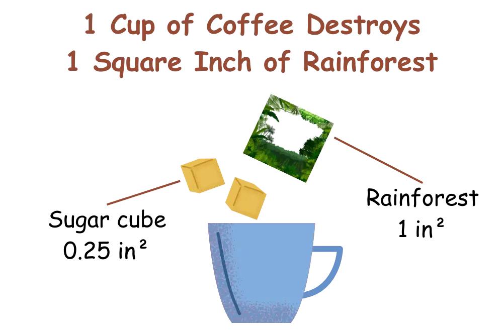 1-cup-of-coffee-destroys-1-square-inch-of-rainforest