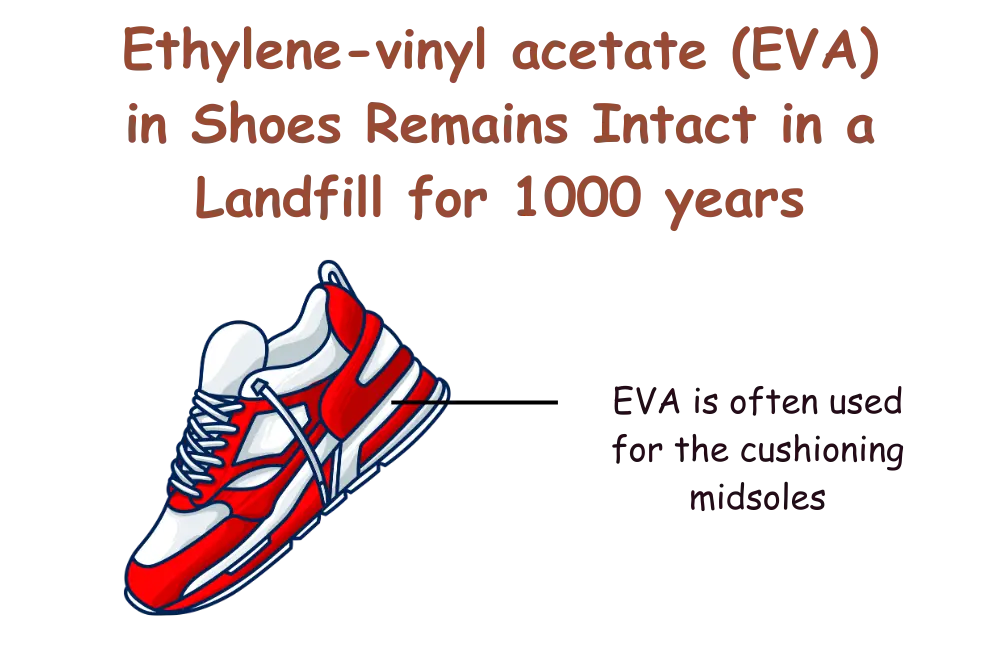 eva-in-shoes-remains-intact-in-a-landfill-for-1000-years