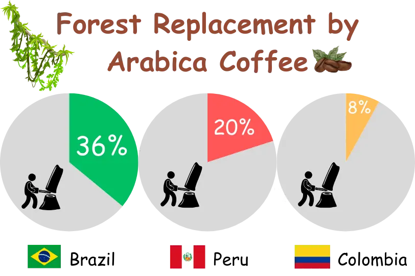 forest-replacement-by-arabica-coffee