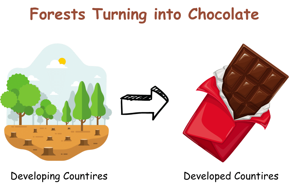 forests-turning-into-chocolate