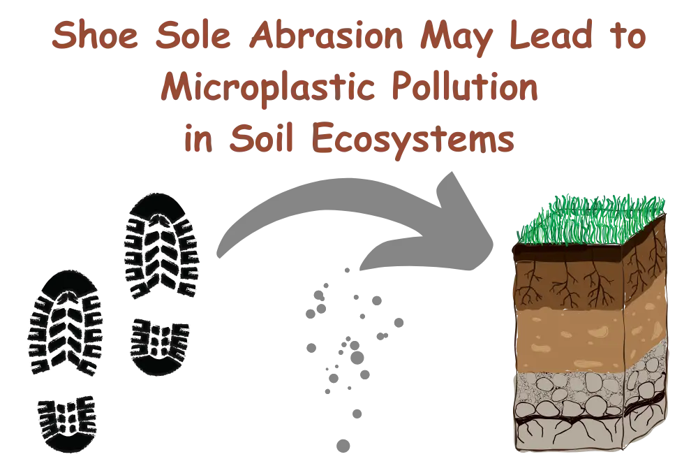 shoe-sole-abrasion-may-lead-to-microplastic-pollution-in-soil-ecosystems